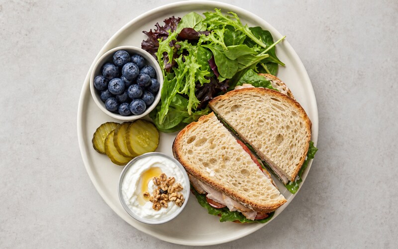US lunch plate seen from above with turkey sandwich, salad, blueberries and Greek yogurt